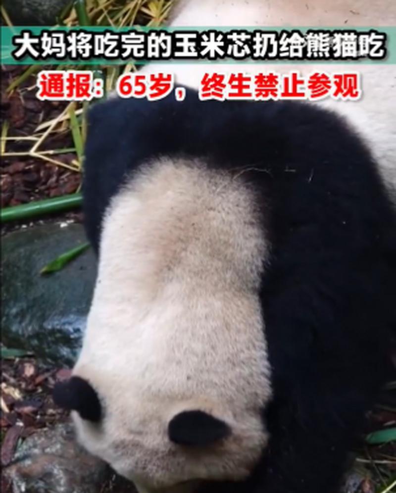 狗狗误食玉米芯后应该怎么办？如何处理？