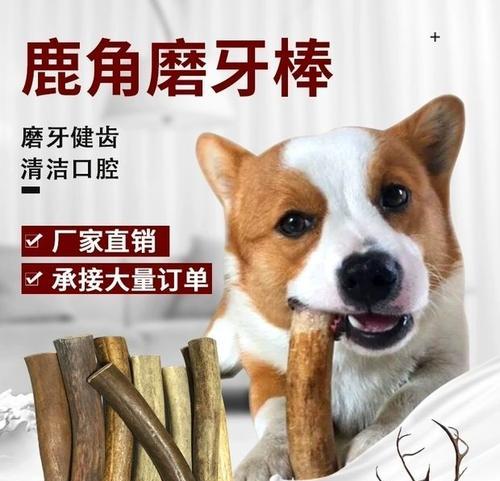 狗狗吃鹿角有什么好处？对健康有哪些积极影响？