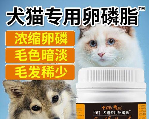 狗狗吃美毛粉和海藻粉有什么好处？常见问题有哪些？