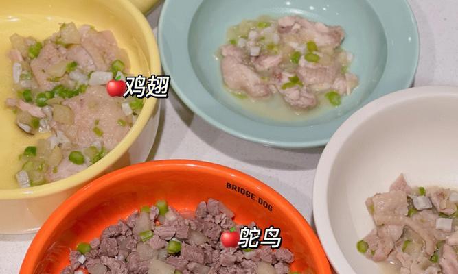 狗狗吃米饭应该用什么来拌？拌料选择有哪些讲究？