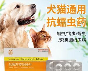 狗狗误食人用驱虫药怎么办？安全处理方法是什么？