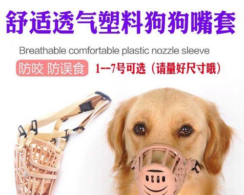 狗狗吃自己的毛怎么办？如何预防和处理？