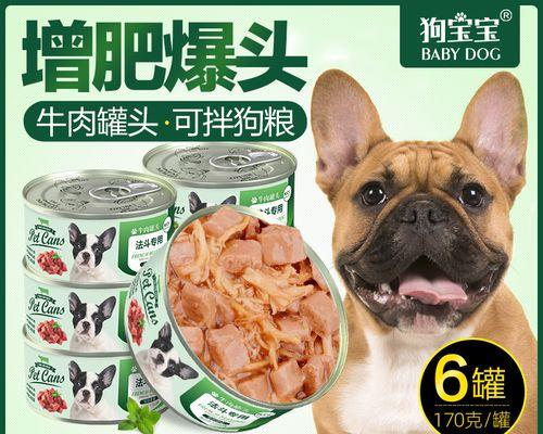 狗狗出生多了能吃狗粮吗？如何正确喂养新生小狗？