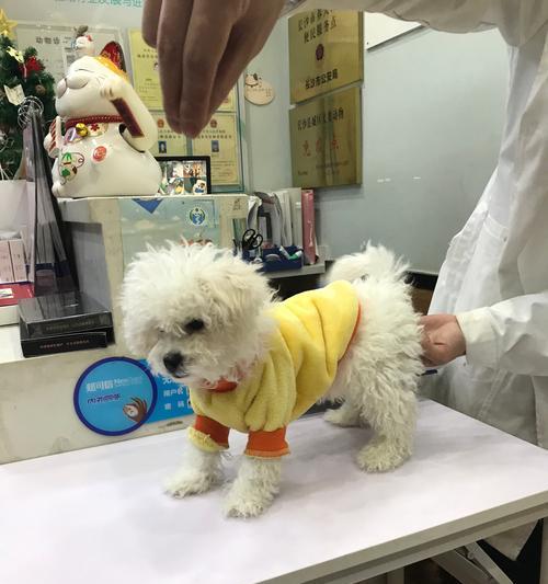 狗狗打疫苗什么叫六联？六联疫苗包含哪些成分？