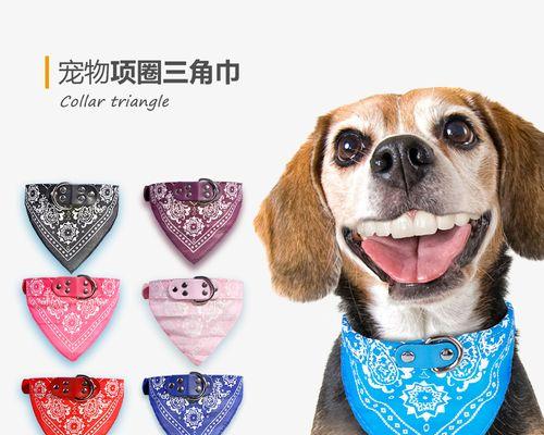 狗狗口水中的细菌种类有哪些？如何保持宠物口腔卫生？