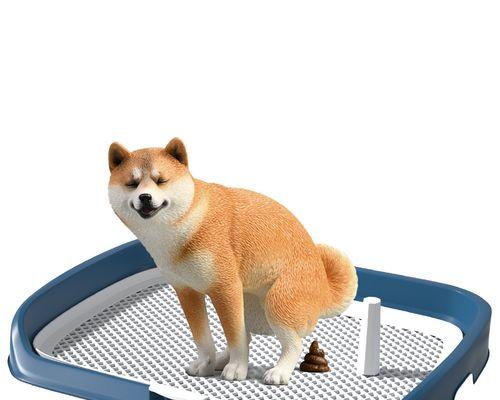 狗狗尿量异常多是为什么？如何解决？