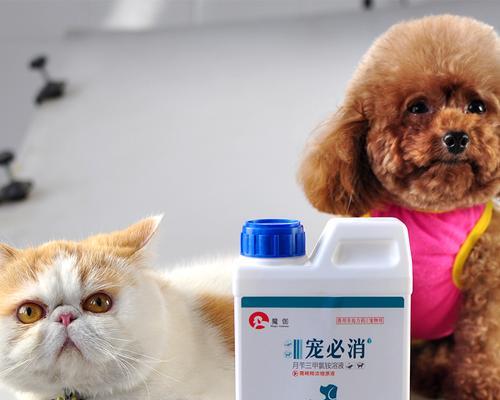 狗狗的消毒液使用方法是什么？正确使用消毒液有哪些注意事项？
