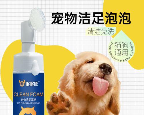 狗狗的爪子划伤了怎么办？如何进行家庭护理和处理？