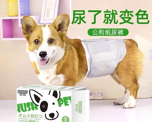 狗狗第一胎怀孕期是多久？常见问题解答？