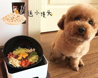 狗狗都需要补什么手续？如何办理宠物登记和疫苗接种？