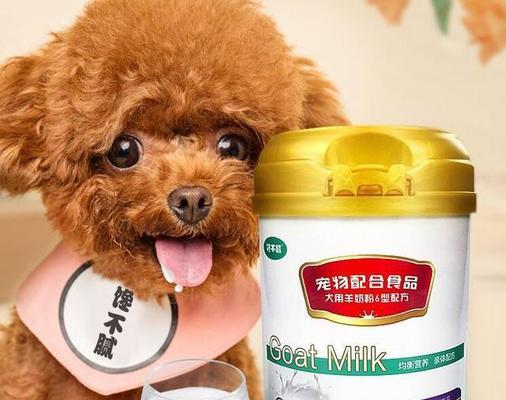 狗狗多大可以喝纯牛奶？喝牛奶对狗狗有哪些影响？