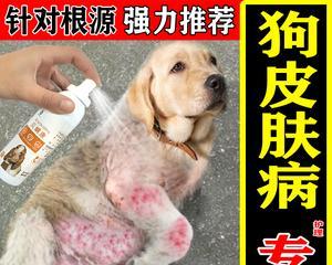 狗狗反复长真菌怎么办？有效预防和治疗方法是什么？
