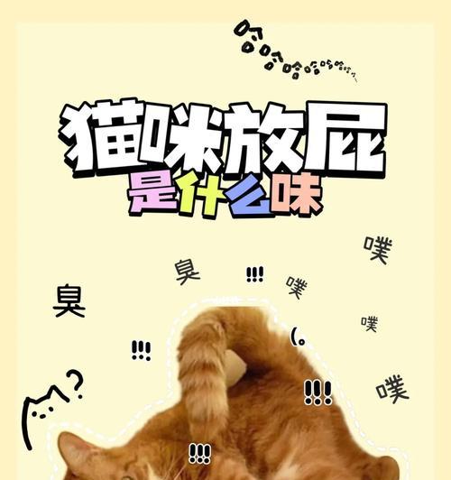 狗狗放屁频繁怎么办？有效药物推荐及使用方法？