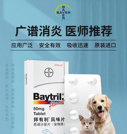 狗狗腹泻时应该使用哪种消炎药？如何正确给药？