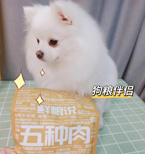 狗狗狗粮可以拌什么吃？有哪些健康搭配建议？