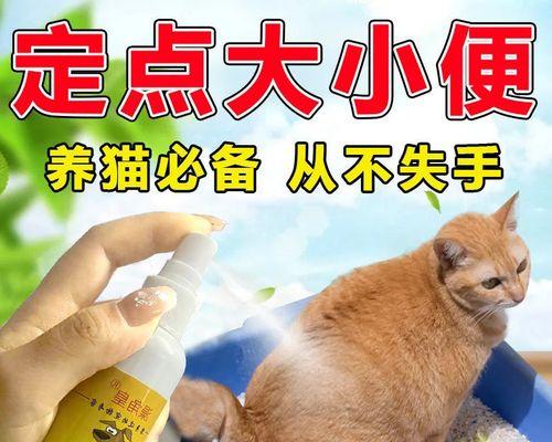 狗狗故意乱拉尿怎么办？有效训练方法和预防技巧是什么？
