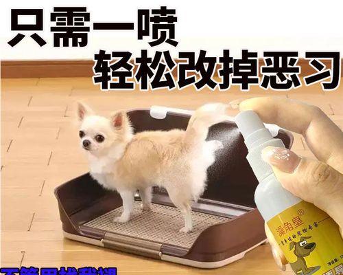 狗狗故意乱拉尿怎么办？有效训练方法和预防技巧是什么？
