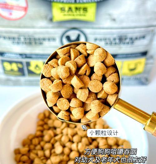 小型犬10斤狗粮能持续多久？合理分配狗粮的方法？