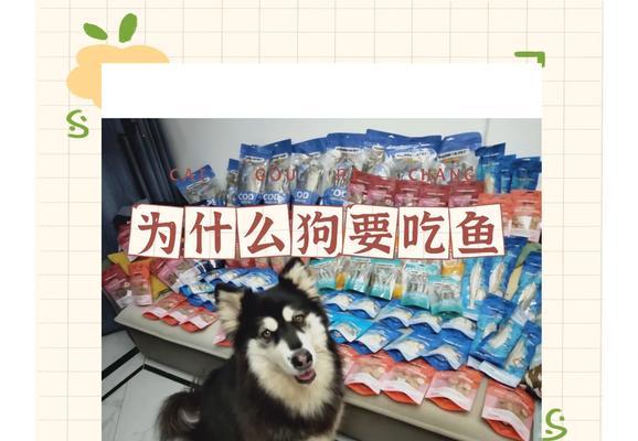 喂狗狗粮时玉米面和水的比例是多少？如何确保狗狗营养均衡？