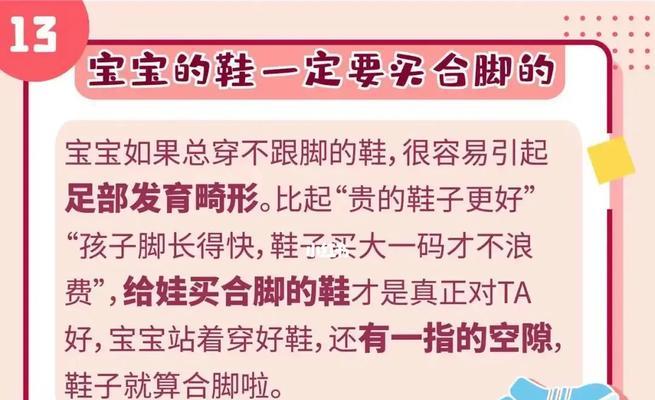 三个月小比熊如何喂粮？有哪些喂养建议？