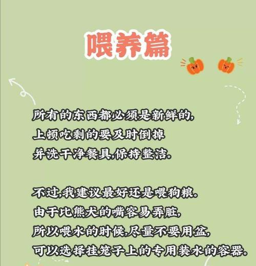 三个月小比熊如何喂粮？有哪些喂养建议？