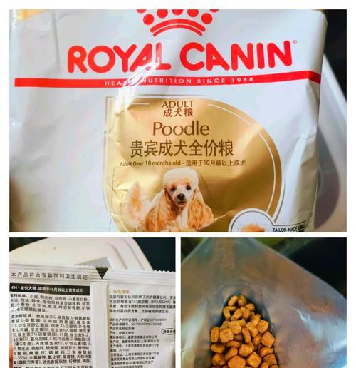 有哪些适合贵宾犬的狗粮推荐？如何选择贵宾犬的狗粮？