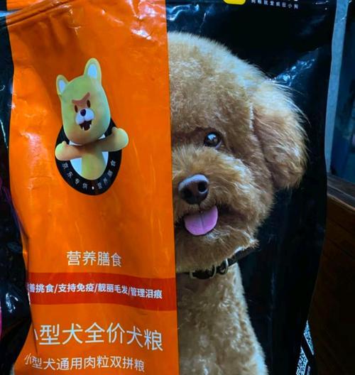 有哪些适合贵宾犬的狗粮推荐？如何选择贵宾犬的狗粮？