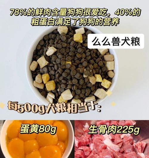 大米狗粮的制作方法是什么？自制大米狗粮有哪些注意事项？