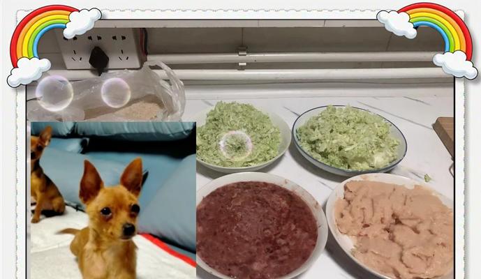 长期喂食自制狗粮对狗狗健康有何影响？
