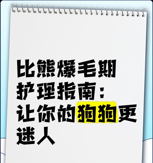比熊犬产后虚脱应如何进行护理？