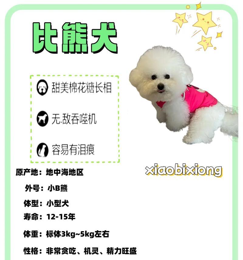 比熊犬产后虚脱应如何进行护理？