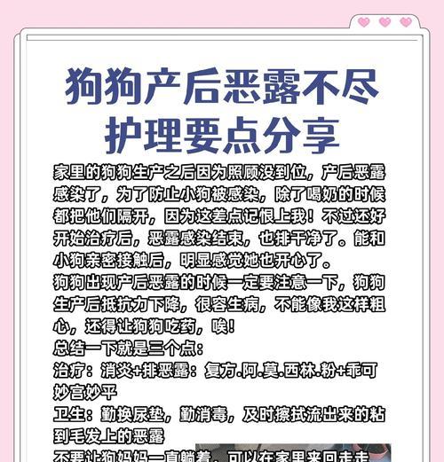 比熊犬产后虚脱应如何进行护理？