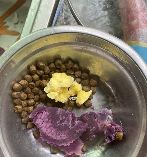 四个月比熊一天吃多少鸡蛋黄正常
