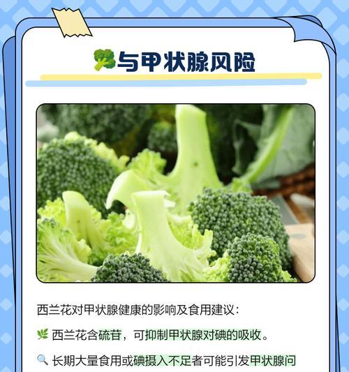 比熊每天吃西兰花好不好？西兰花对健康有何影响？