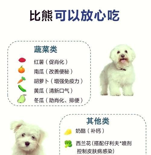 比熊每天吃西兰花好不好？西兰花对健康有何影响？