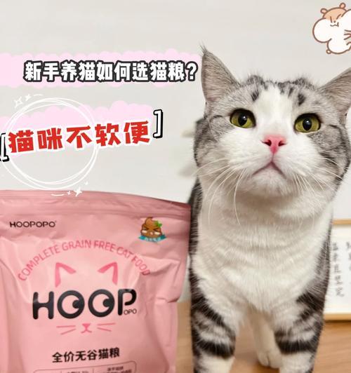 高加索是什么猫粮？适合哪些猫咪？