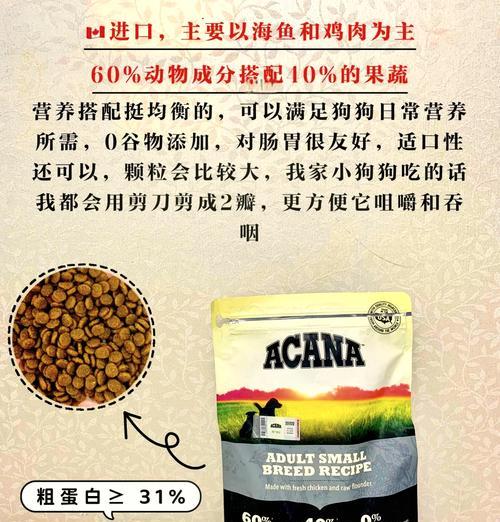 比熊每天吃狗粮好吗？正确的喂养方法是什么？