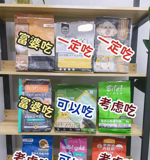比熊一次吃几个小番茄合适？背后的原因是什么？