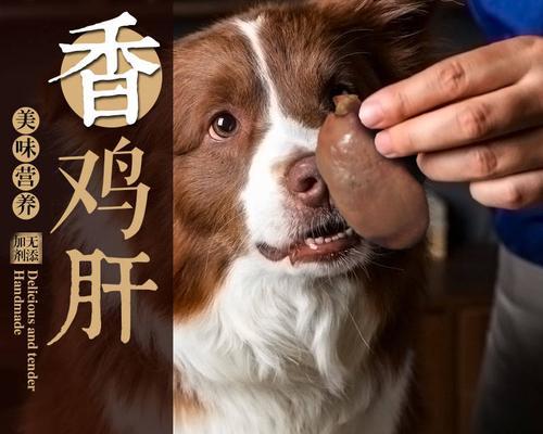 比熊犬可以吃鸡肝吗？鸡肝对狗狗有哪些影响？