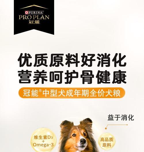 十斤狗粮够中型犬吃多久？如何计算每日所需？