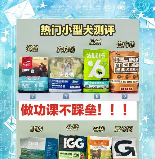 五个月大的小型犬每天需要多少狗粮？喂食量如何控制？