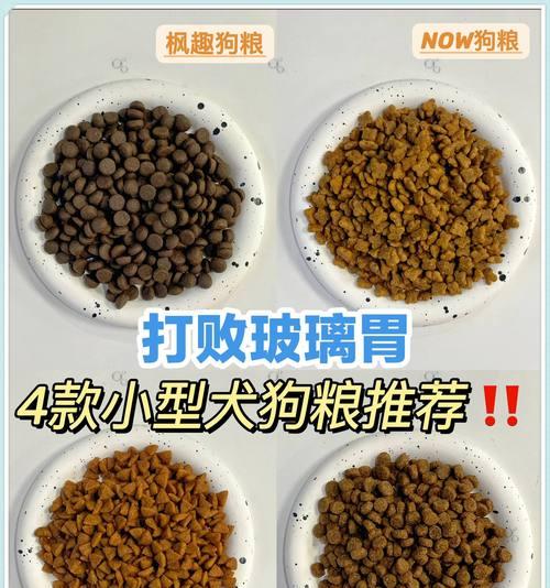 五个月大的小型犬每天需要多少狗粮？喂食量如何控制？