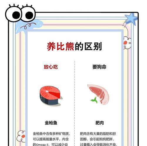 两个月比熊犬每次喂食量是多少？喂食频率如何？