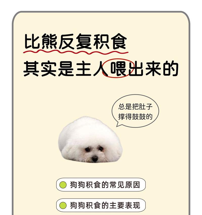 比熊犬辅食制作方法有哪些？适合比熊的辅食有哪些？
