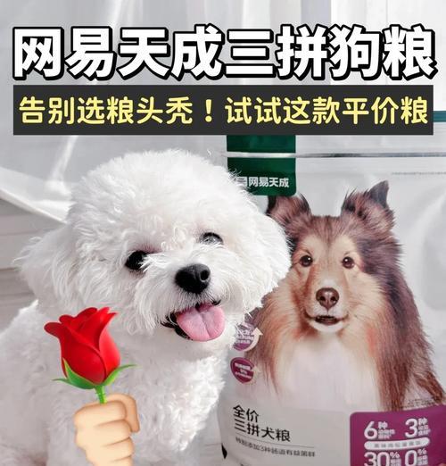 比熊幼犬吃干粮时需要换狗粮吗？如何选择最佳的喂食方法？