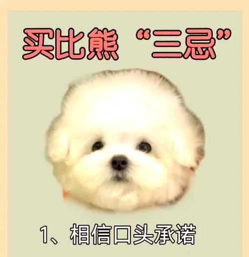六个月大的比熊吃一块排骨骨头安全吗？需要注意什么？