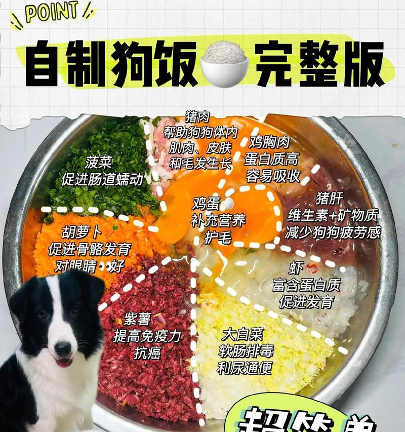 如何训练狗狗定点进食狗粮？