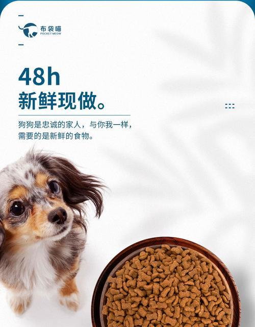 小型比熊最适合哪种狗粮？