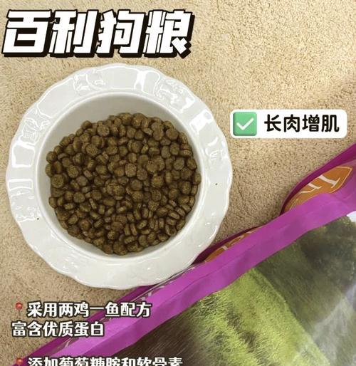 小型比熊的狗粮选择有哪些？