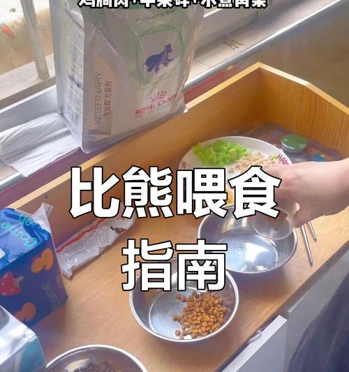 三个月大的比熊一天喂食几次最适宜？